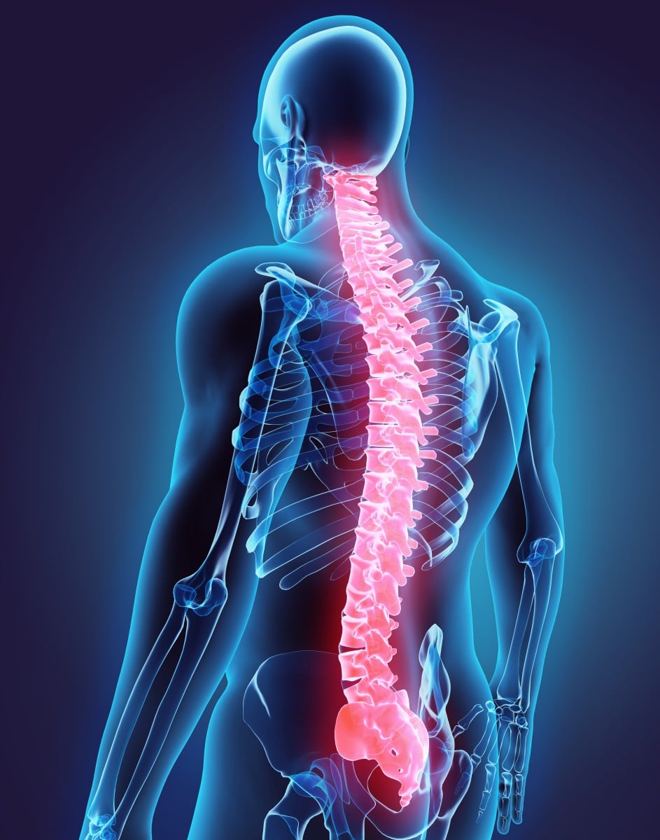 How Car and Truck Accidents Can Lead to Spinal Cord Injuries in